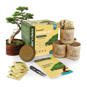 Bonsai Tree Starter Kit