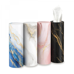 Car Tissue Holder