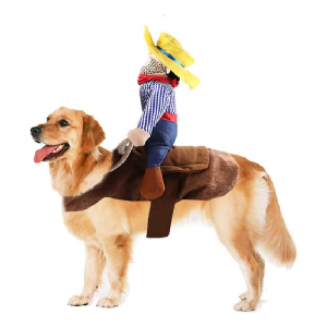 Cowboy Dog Costume