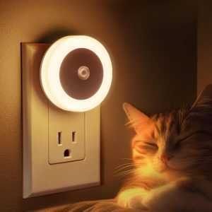 Minimalist Circle Night Light
