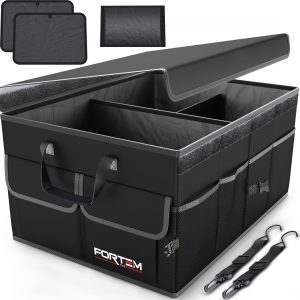 Organization